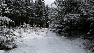 schneeschuhtauglicher Wanderweg