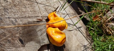 20251102_110123 (Small).jpg