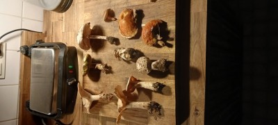 20251102_173208 (Small).jpg